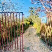 Terreno agricolo attrezzato con pozzo