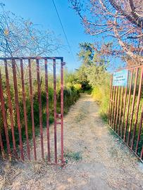 Terreno agricolo attrezzato con pozzo