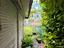 Immagine 23