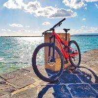 MTB Specialized Stumpjumper FSR