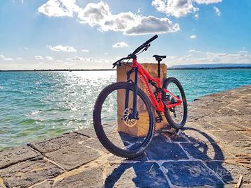 MTB Specialized Stumpjumper FSR