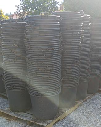 Mastello vaso