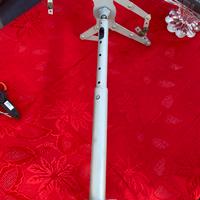 Staffa video proiettore