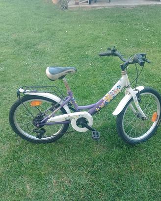 bici bambina raggio 20