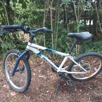 bicicletta mountain bike