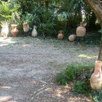 lotto 8 giare in terracotta primi 900