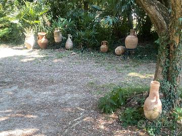 lotto 8 giare in terracotta primi 900