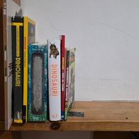 Libri ed enciclopedie sui dinosauri