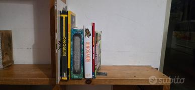 Libri ed enciclopedie sui dinosauri