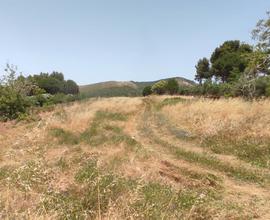 Terreno edificabile salemi 2500 mq