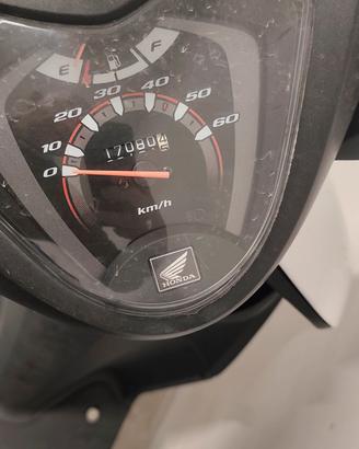 Honda Vision 50