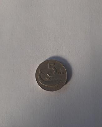Moneta lire 5 anno 1951 usata