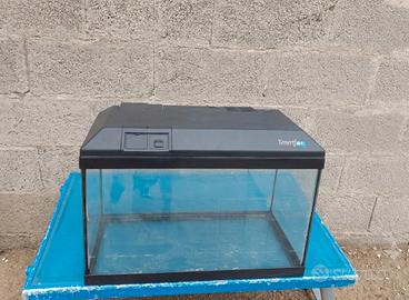 Acquario 