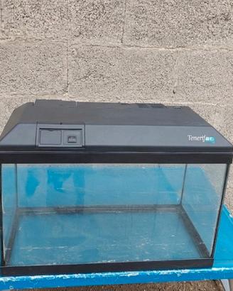 Acquario 