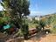 Immagine 22