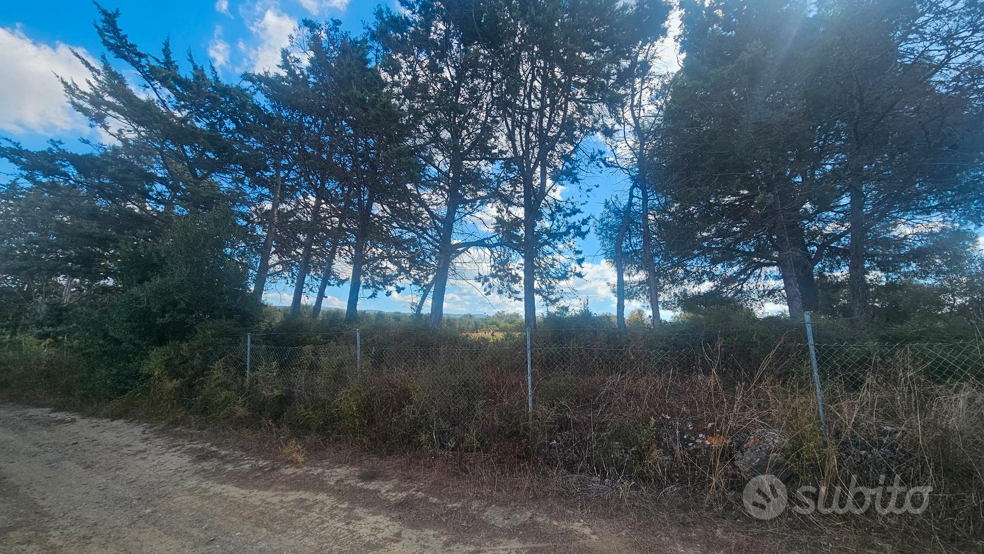 terreno agricolo Sant' Andrea Frius loc. cixedu - Vista 4