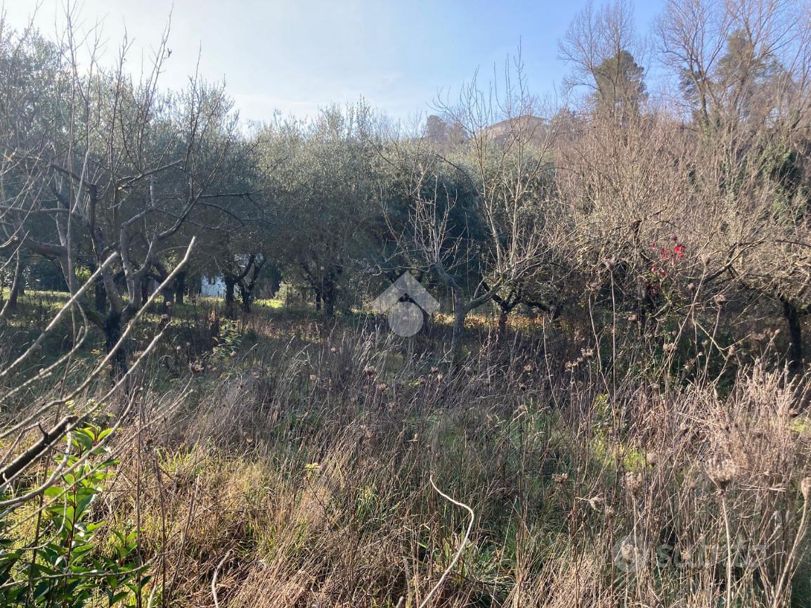 TER. AGRICOLO A BENEVENTO - Altro