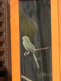 Kakariki