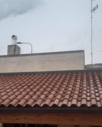 tegole