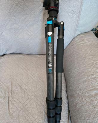 treppiede Genesis C5 + testa manfrotto