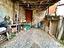 Immagine 11