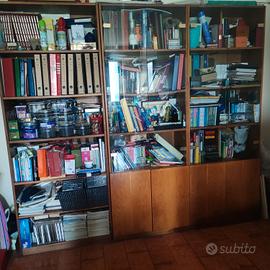 libreria con vetri