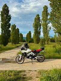 Ducati Desert X 2024