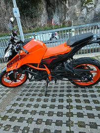 KTM Duke 390 anno 2024