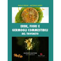 Erbe, fiori e germogli commestibili del Triveneto