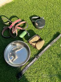 Set cane