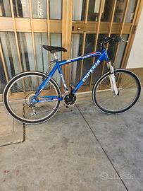 Bici Mtb esperia ruote da 26 polici cambio shimano