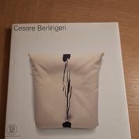 Cesare Berlingeri