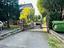 Immagine 7