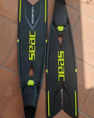 Pinne apnea seac