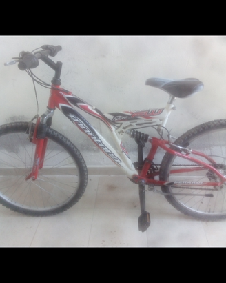 Bici mtb