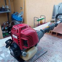 Decespugliatore Honda 4 tempi GX25