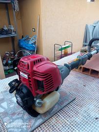 Decespugliatore Honda 4 tempi GX25