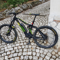 E-MTB DH elettrica