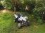 Immagine 3
