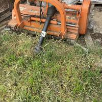 Trincia sermenti Cortese