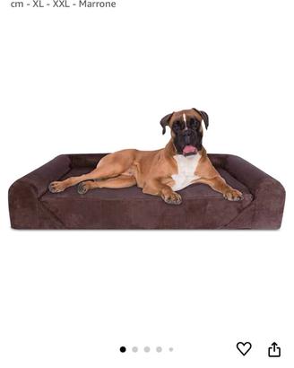 Cuccia / Letto ortopedico memory XL cane