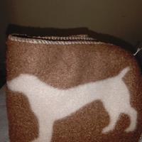 Plaid per cani