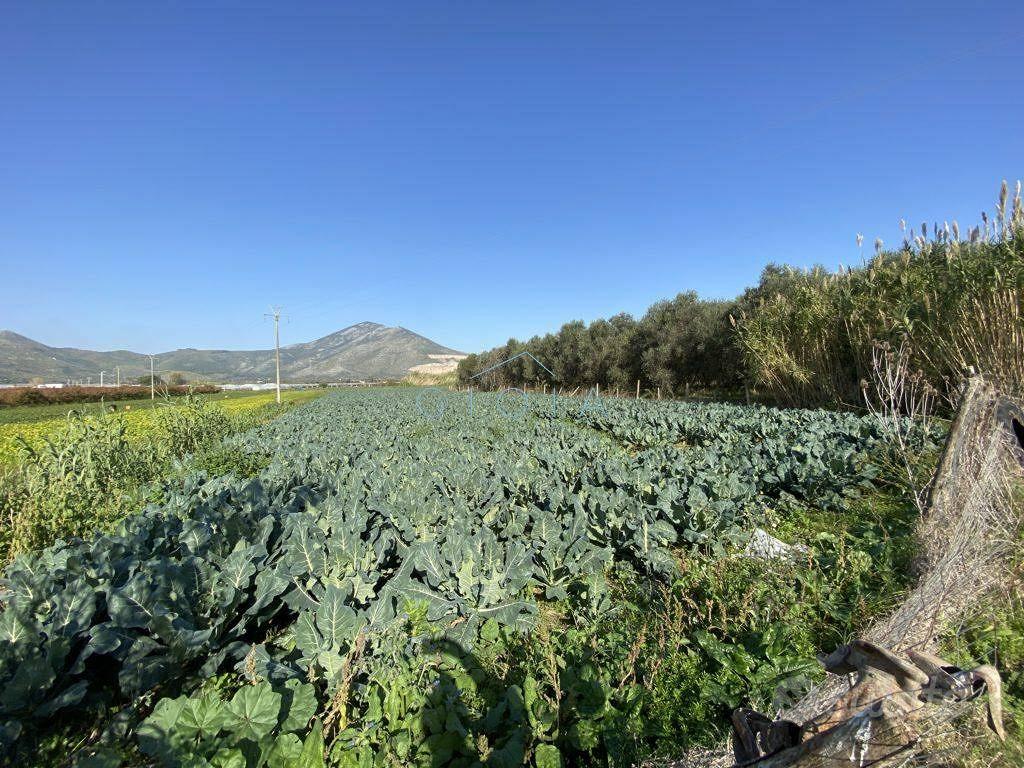 Terreno di 4500 m² a Mondragone - Vista 5