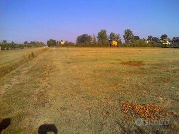 Terreno di 12000 m² a Nonantola