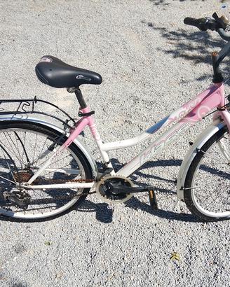 Biciclette da passeggio adulto ragazzo