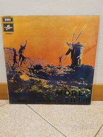 Vinile Pink Floyd