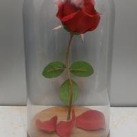 ROSA IN CUPOLA TIPO LA BELLA E LA BESTIA 