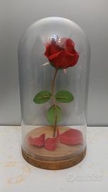 ROSA IN CUPOLA TIPO LA BELLA E LA BESTIA 