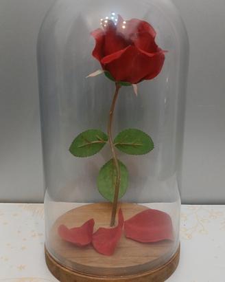 ROSA IN CUPOLA TIPO LA BELLA E LA BESTIA 