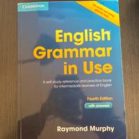 English grammar in use